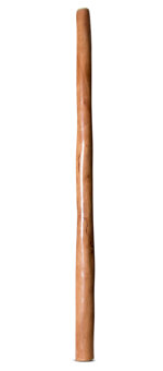 Earl Clements Didgeridoo (EC516)